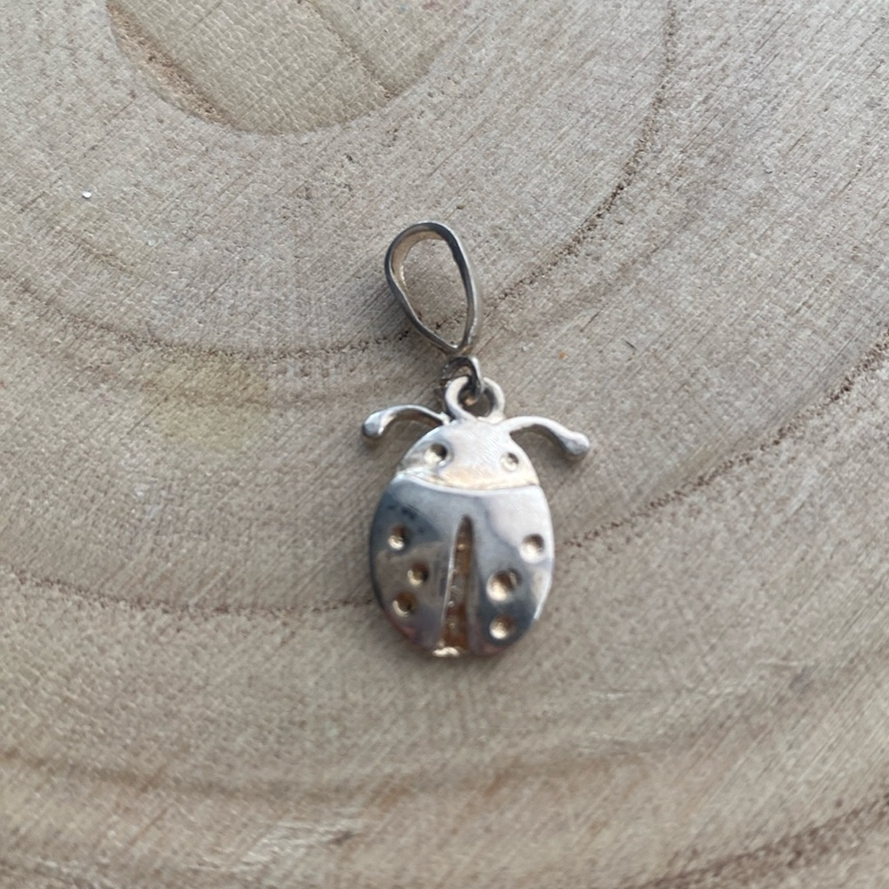 Ladybug dije 925 sterling silver fashion Made in Mexico